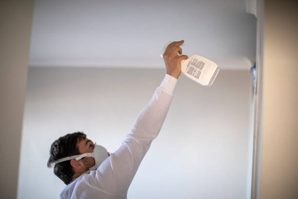Certified Mold Removal in Head Of The Harbor, NY